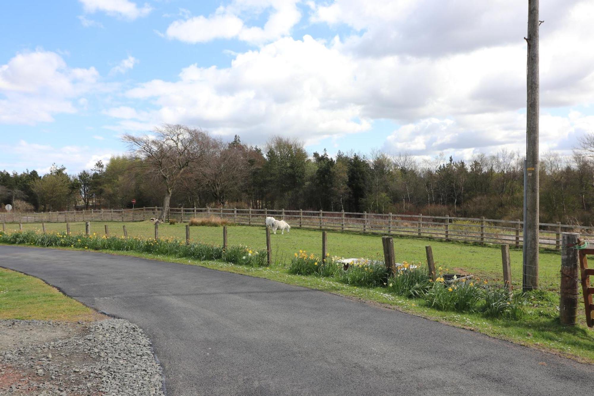 Blairmains Guest House Kirk of Shotts Exterior foto